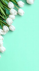 White tulips arranged in a corner border against a teal background