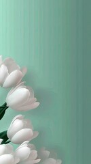 White tulips against a mint green background
