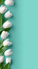 White tulips arranged vertically on a teal background
