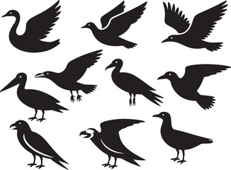 Birds Avian Wildlife Flying Silhouettes