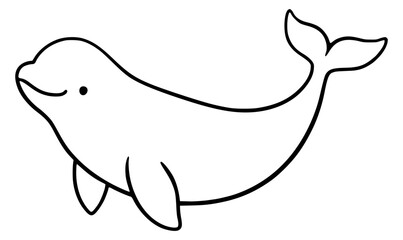 beluga whale illustration