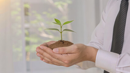 Hands Holding Seedling Plant: A Close-Up of Environmental Conservation in Action
