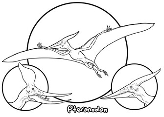 Pteranodon Coloring Page © Josep Zacarias