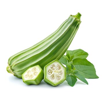 vegetable