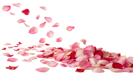 Multi colored rose petals romantic background with isolated on a white background PNG. AI GENERATED.
