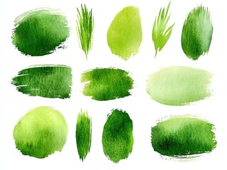 Grass green watercolor brush strokes