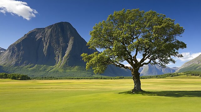 A lone tree stands sentinel amidst a verdant landscape.