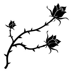 silhouette of a single climbing rose vine with thorns and buds