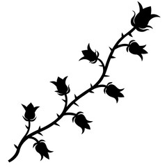 silhouette of a single climbing rose vine with thorns and buds