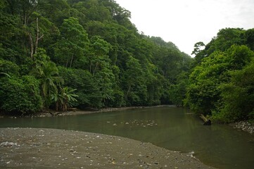 Madrugal river near La Leona ranger station in the Corcovado National Park in Costa Rica