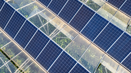 Greenhouse for growing vegetables with mounted photovoltaic solar panels on the roof, combining agriculture and solar energy for sustainable and eco-friendly food production.