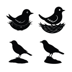 silhouette Bird