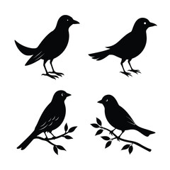 Obraz premium silhouette Bird