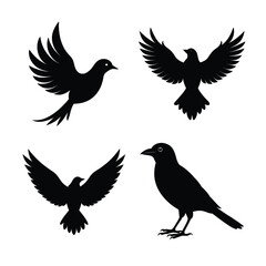 Obraz premium silhouette Bird