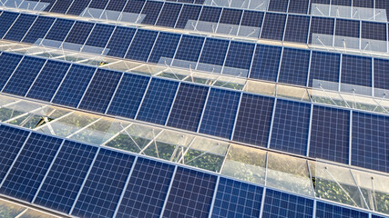 Greenhouse for growing vegetables with mounted photovoltaic solar panels on the roof, combining agriculture and solar energy for sustainable and eco-friendly food production.