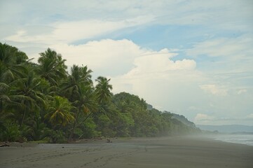 beach near La Leona ranger station in the Corcovado National Park in Costa Rica
