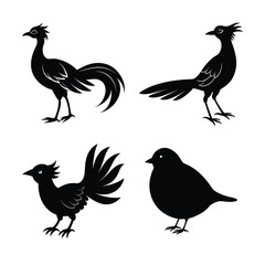 Fototapeta premium silhouette Bird