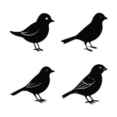 silhouette Bird