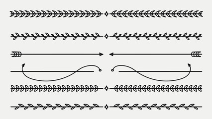 Hand drawn botanical vintage line divider collection.Vector illustration