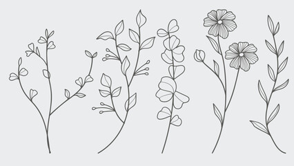 Hand Drawn Twigs with Leaves in a Botanical collection.Vector illustration