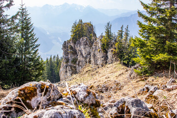 Landscape photo of an uphill climb in spring. Typical landscape in sunshine in the German Alps.