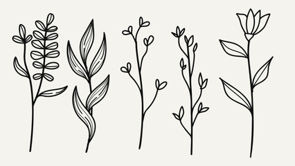 Hand drawn floral minimal elements in line art style. Botanical decoration, wild and garden plants, branches, leaves. Vector illustration