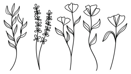  Hand drawn line art botanical stems and flower elements collection.