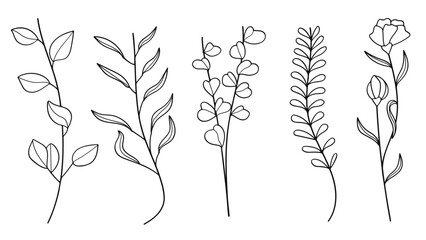 Vintage hand drawn botanical flowers and stems line art elements collection. Vector illustration.