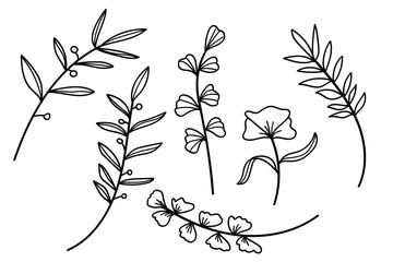 Hand drawn line art botanical leaves and flowers elements collection.