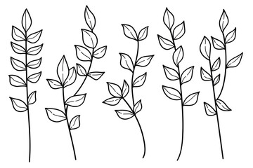 Hand drawn line art botanical leaves and flowers collection.