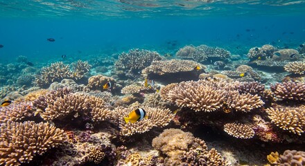 Ultra-Detailed Vibrant Coral Reef with Tropical Fish in Clear Water AI Generative