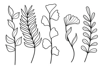 Hand drawn line art botanical leaf and floral elements collection. Vector illustration.