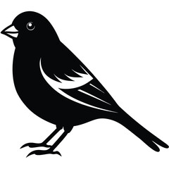 Obraz premium Canary bird single vector shilhouette 