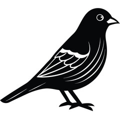 Obraz premium Canary bird single vector shilhouette 