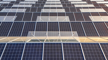 Sustainable greenhouse with rooftop solar panels bathed in morning sunlight for eco-friendly...