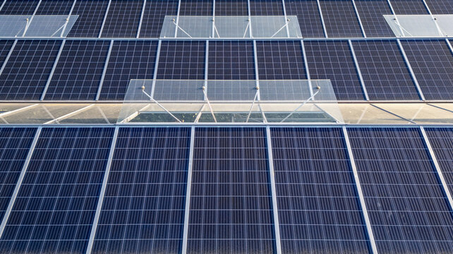 Sustainable greenhouse with rooftop solar panels bathed in morning sunlight for eco-friendly vegetable farming and renewable energy generation in a dual-use agricultural system.