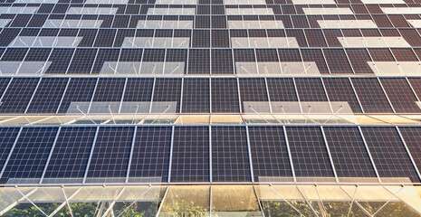 Sustainable greenhouse with rooftop solar panels bathed in morning sunlight for eco-friendly vegetable farming and renewable energy generation in a dual-use agricultural system.