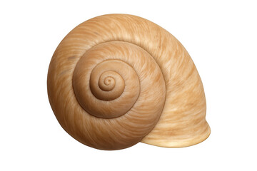 Light brown snail shell revealing intricate spiral texture, sitting empty and pristine against transparent backdrop
