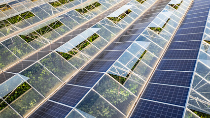 Sustainable greenhouse with rooftop solar panels bathed in morning sunlight for eco-friendly...