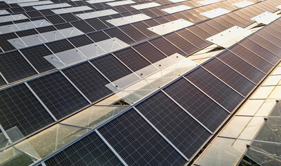 Sustainable greenhouse with rooftop solar panels bathed in morning sunlight for eco-friendly...
