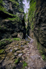 Narrow rocky gorge with a flowing stream and wooden walkways.