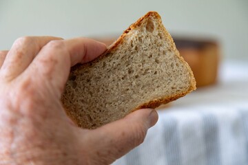 Rustic colonial rye bread. Well-lit image, clear selective focus on the details of the bread...