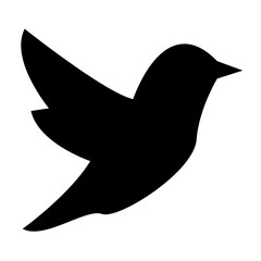 bird silhouette icon design template