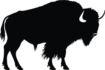 American Bison Silhouette: Majestic Vector Illustration, Strong Profile
