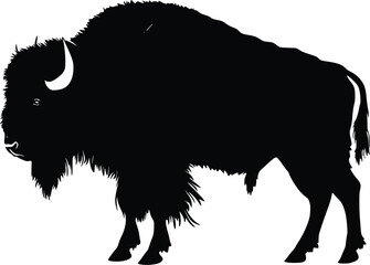 American Bison Silhouette: Dramatic Vector Illustration, Strong, Powerful