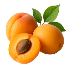 Fresh Apricots Whole, Halved with Pit, and Leaves on White -  Transparent Background
