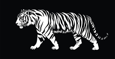 Fototapeta premium Majestic Tiger Vector: Elegant, Monochrome, Walking Silhouette Illustration