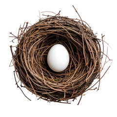 Nest Egg's Serenity: A singular pristine white egg rests nestled within a rustic bird's nest, a quiet embodiment of nature's gentle care and fresh new beginning.