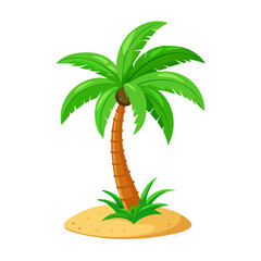 palm tree on a white background