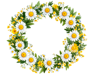 Circular Daisy Wreath in Rustic Country Style, isolated on a transparent background.